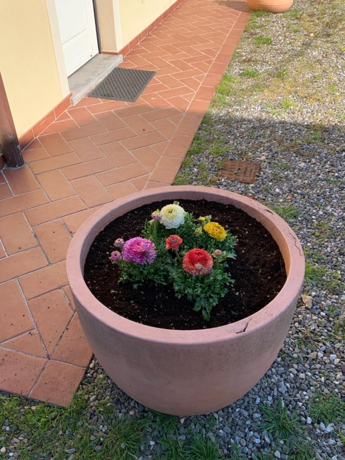 Appartamenti Vacanze Il Nottolini カパンノリ エクステリア 写真